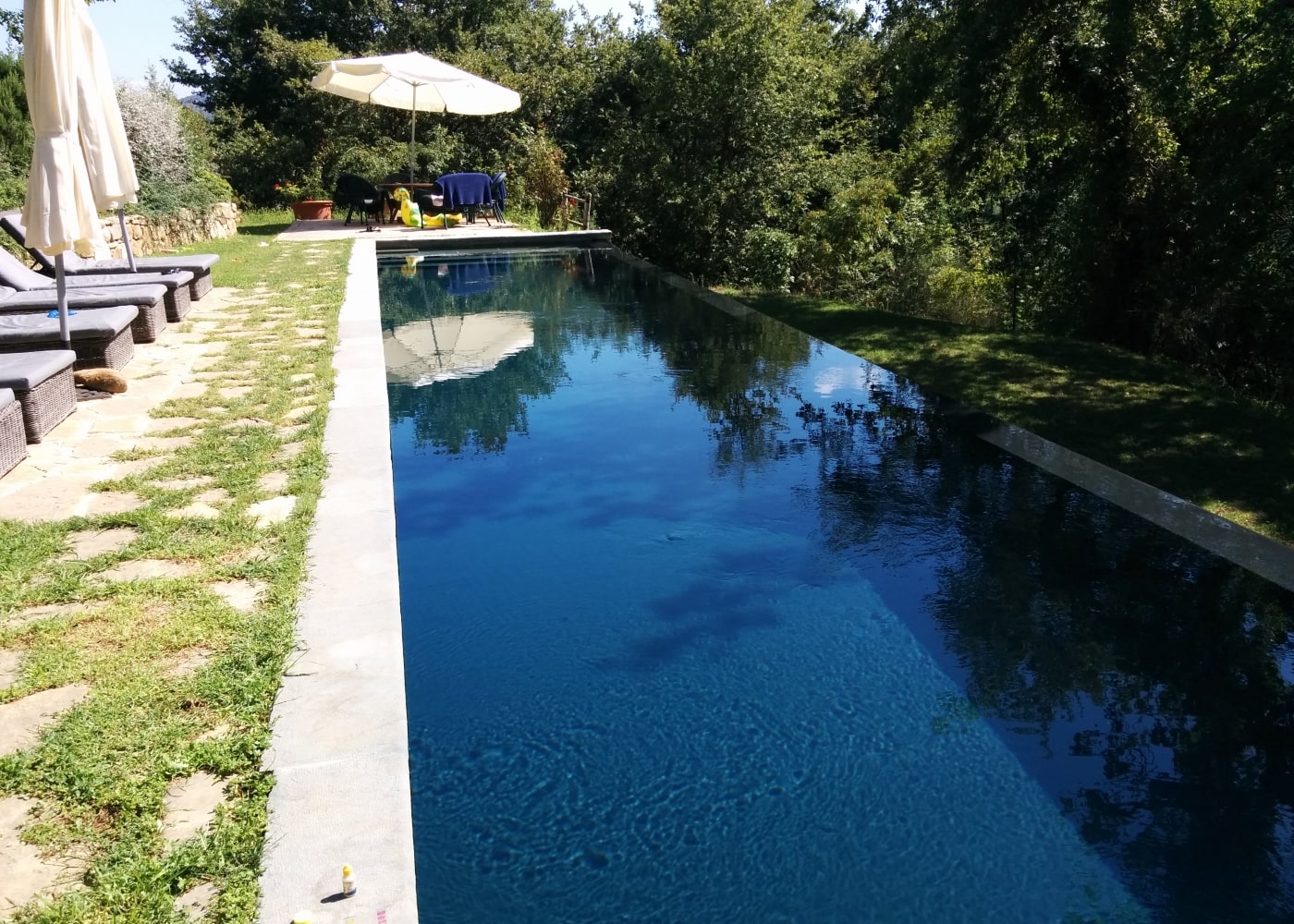 Realizzazione piscina sportiva in Toscana by Gardenpool